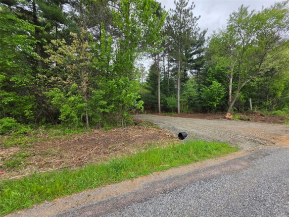 0 Buena Vista Road Lot 1, Eau Claire WI — $124,900