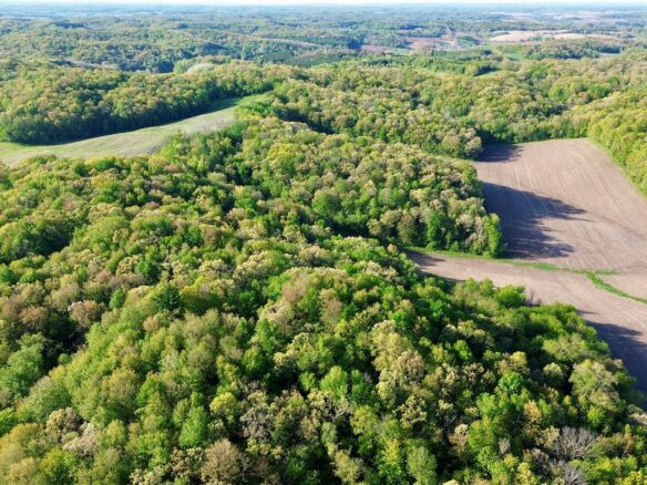 0 County Rd OO, Strum WI — $1,053,000