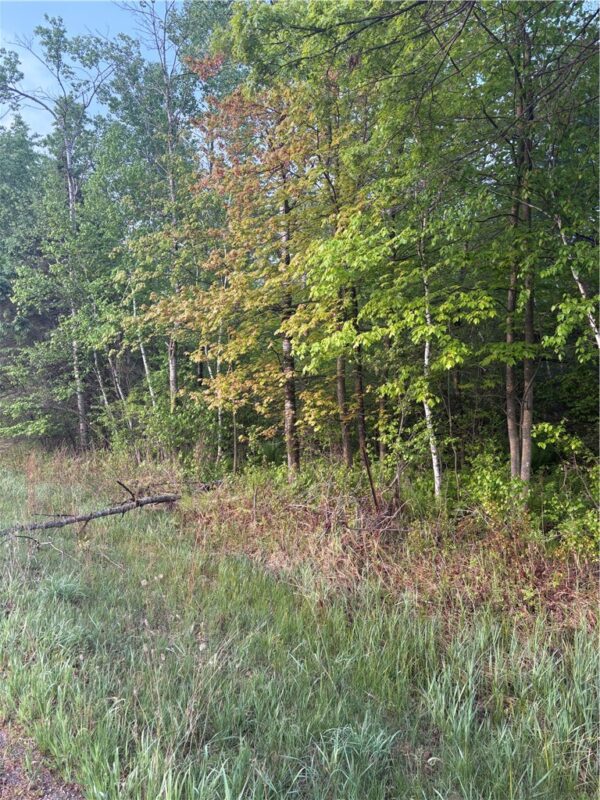 0 Highway 12, Merrillan, WI — photo 3