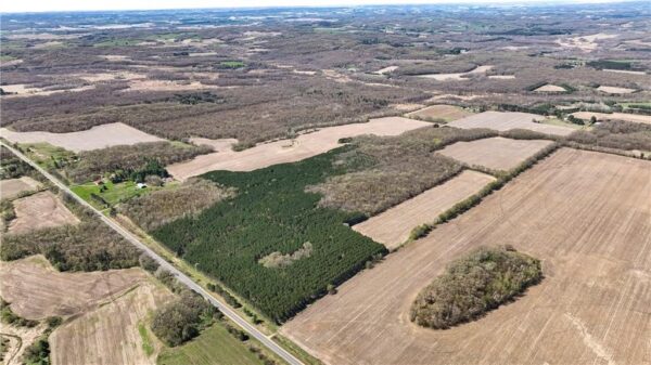 0 State Road 93, Eleva WI — $725,000