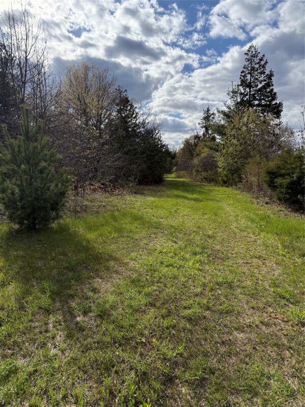 000 1000th Street, Eau Claire, WI — photo 3