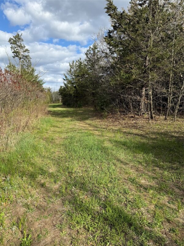 000 1000th Street, Eau Claire, WI — photo 10