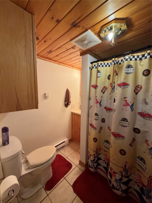 10507 Hamblin Street, Hayward WI 54843 - Residential house for sale - MLS #1601151 - image38