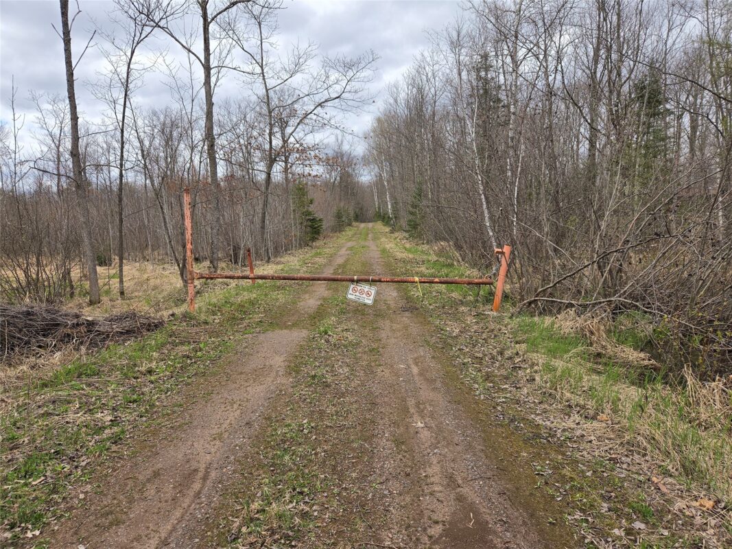 12XXX N Olson Road, Hayward, WI — photo 11