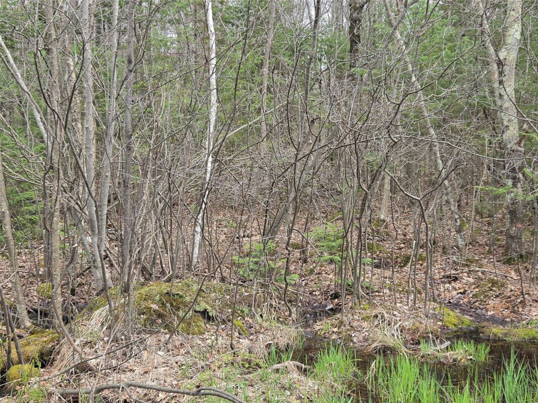 12XXX N Olson Road, Hayward, WI — photo 13