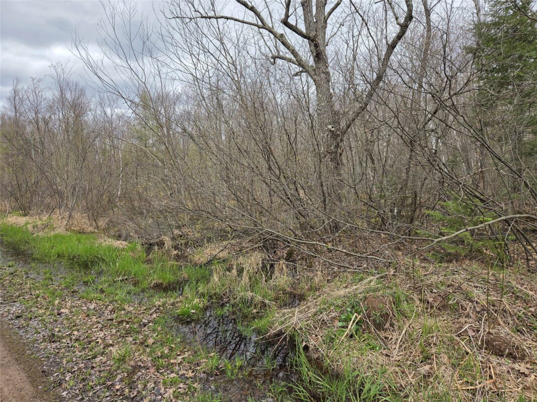 12XXX N Olson Road, Hayward, WI — photo 14