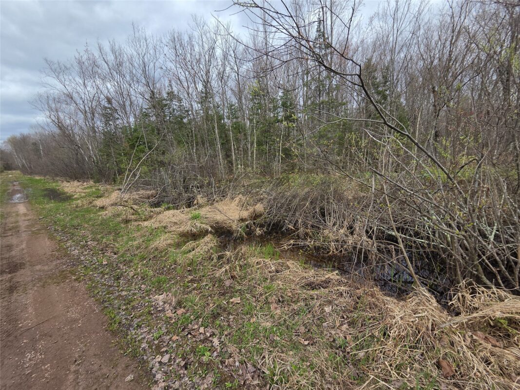 12XXX N Olson Road, Hayward, WI — photo 15