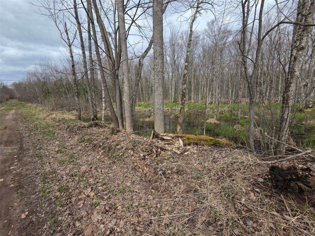12XXX N Olson Road, Hayward, WI — photo 16