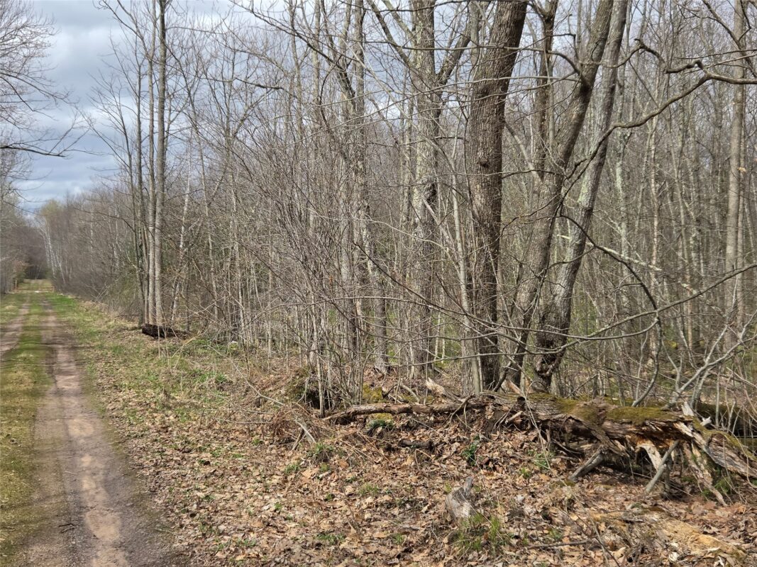 12XXX N Olson Road, Hayward, WI — photo 19