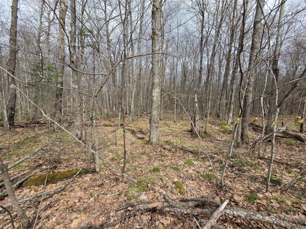12XXX N Olson Road, Hayward, WI — photo 21