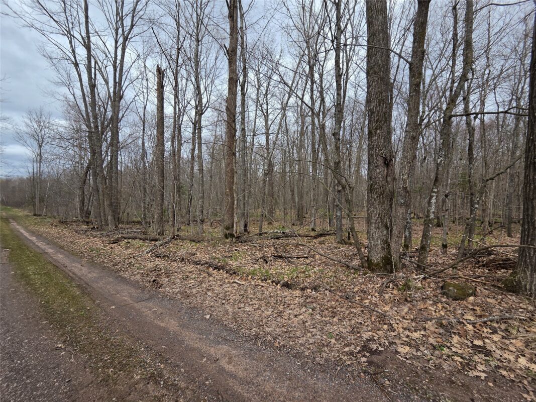 12XXX N Olson Road, Hayward, WI — photo 22