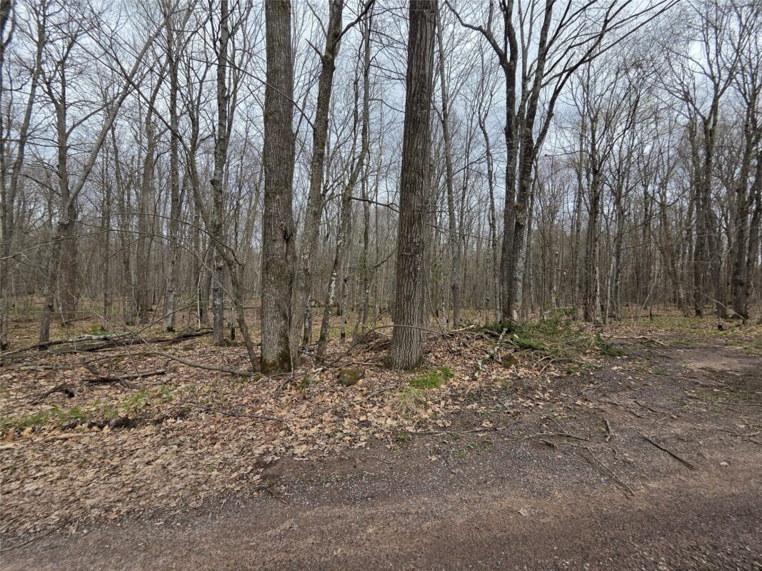 12XXX N Olson Road, Hayward, WI — photo 9