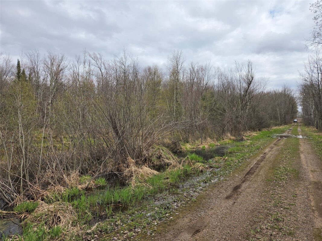 12XXX N Olson Road, Hayward, WI — photo 10