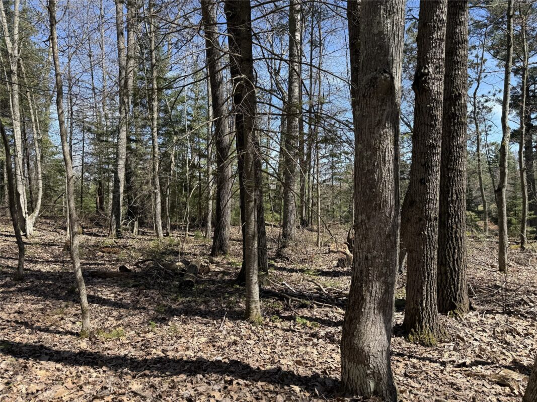 14667 W Point Drive, Hayward, WI — photo 2