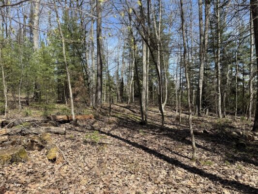 14667 Point Drive Hayward WI 54843