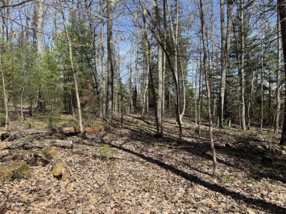 14667 W Point Drive, Hayward, WI
