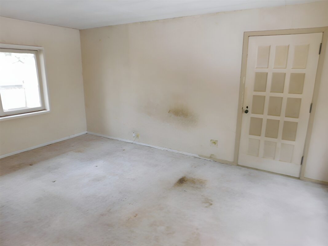 Whitehall WI 54773 - Residential house for sale - MLS #1600419 - image6