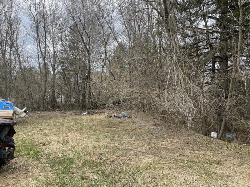 2 Lots Off Thurston Road