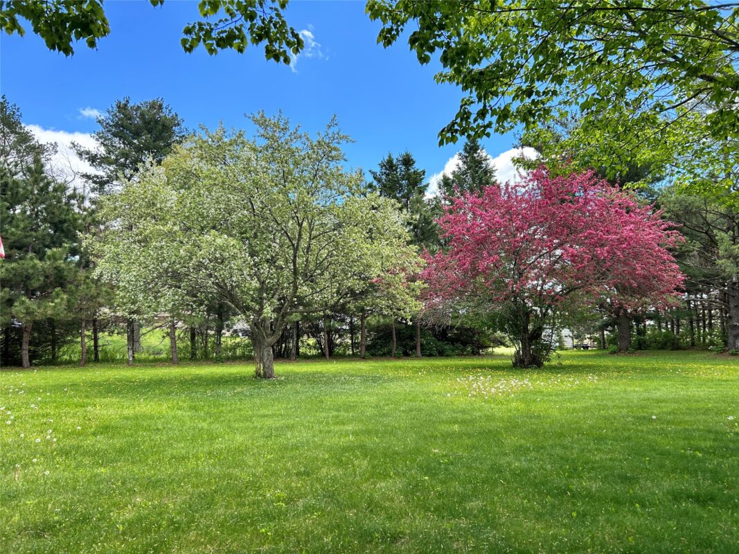 Rice Lake WI 54868 - Residential house for sale - MLS #1601550 - image14