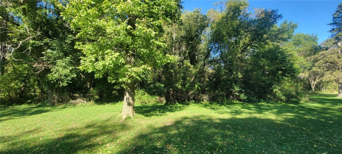 218 E Clark Street, Alma Center, WI — photo 5