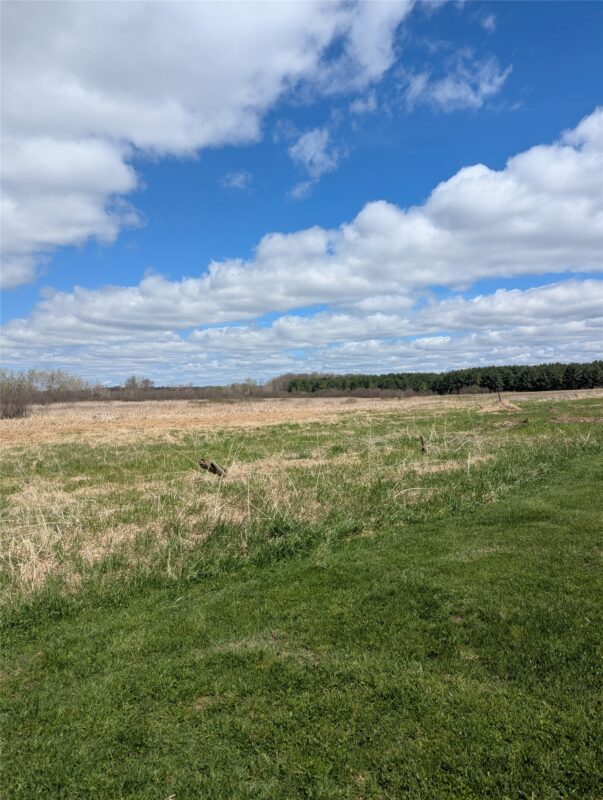 23505 State Hwy 27, Holcombe WI 54745 - Residential house for sale - MLS #1600735 - image27