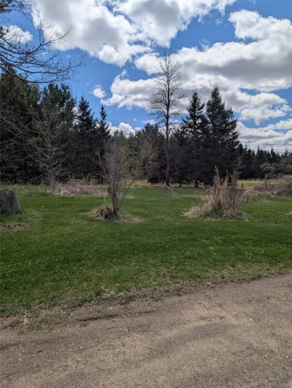 23505 State Hwy 27, Holcombe WI 54745 - Residential house for sale - MLS #1600735 - image29