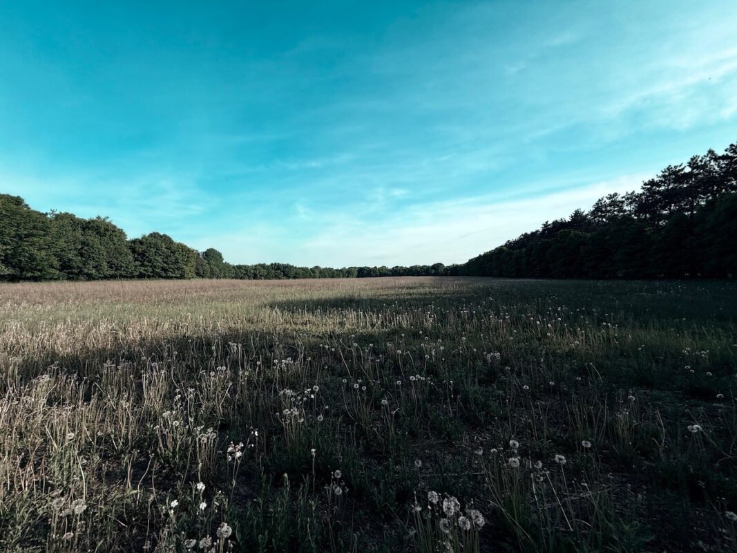 2754 20th Street, Elk Mound WI 54739 - Land house for sale - MLS #1601704 - image2