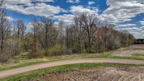 27.6 Acres on Helena Drive Conrath WI 54731