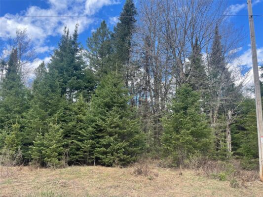 40 +/- Acres On Pociask Road Butternut WI 54514