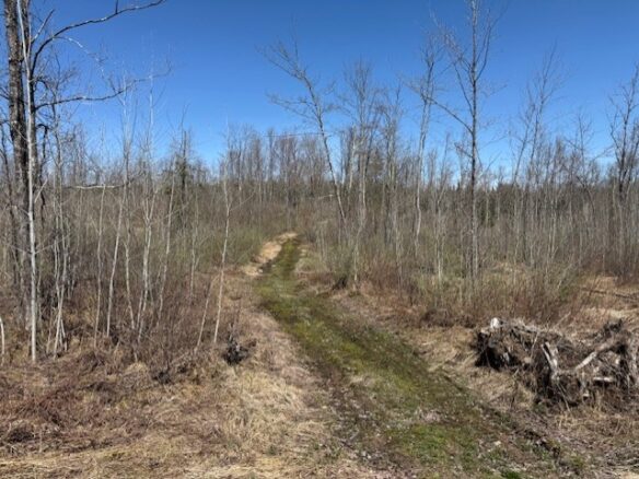 4819N Horse Creek Trail, Ojibwa, WI
