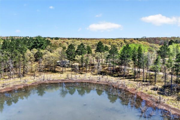 55065 Silverwolf Drive Barnes WI 54873