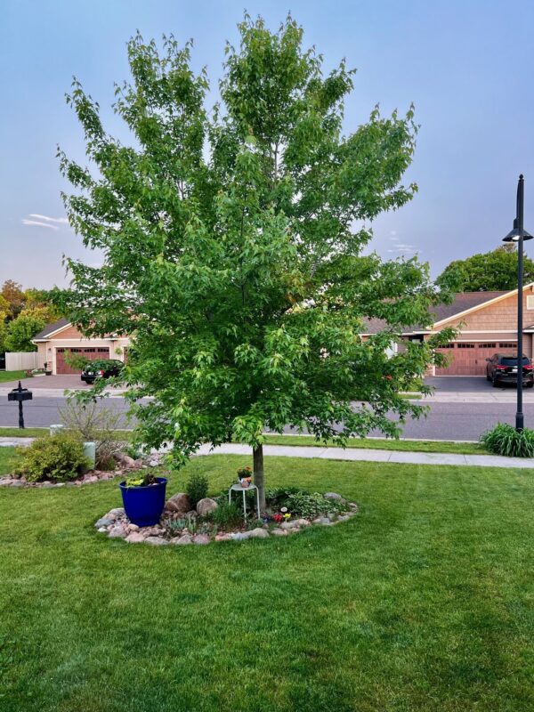 617 Blue Karner Drive, Altoona, WI — photo 14
