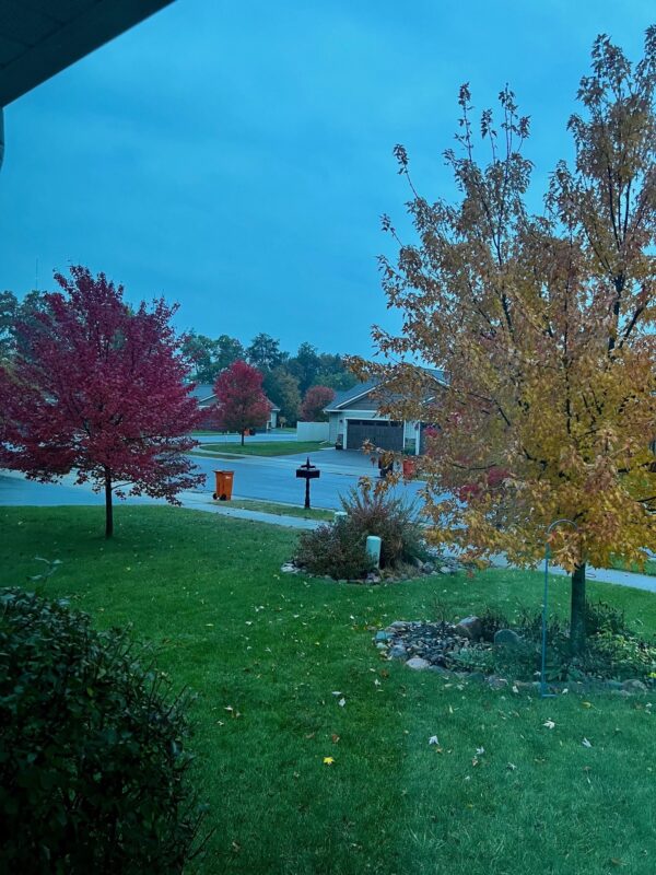 617 Blue Karner Drive, Altoona, WI — photo 57