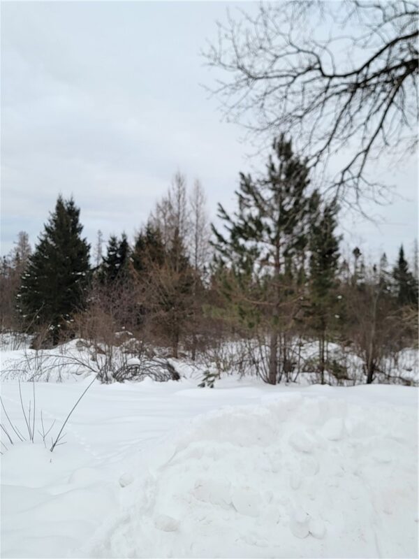 6828N Zett Road, Winter, WI — photo 4