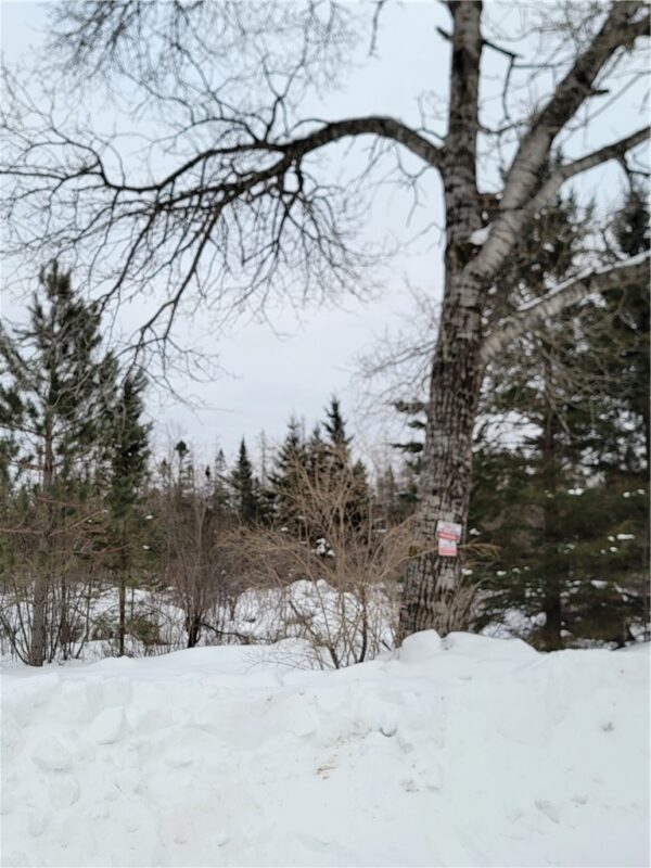 6828N Zett Road, Winter, WI — photo 5