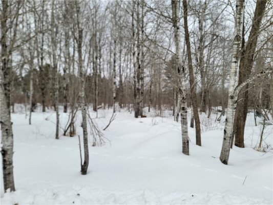 6828N Zett Road, Winter, WI