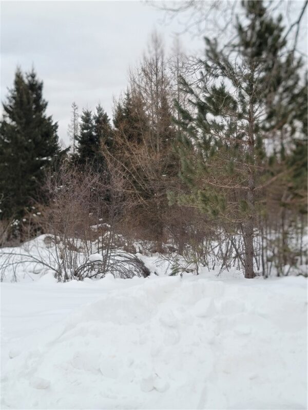 6828N Zett Road, Winter, WI — photo 7