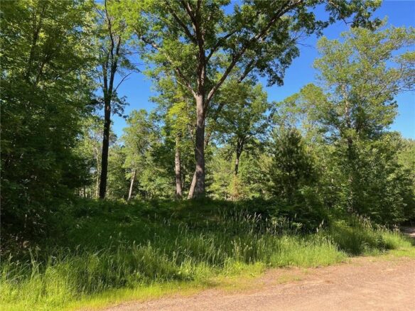 73XX E Willow Street, Webster, WI