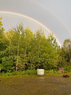 8225 Blaisdell Lake Road Winter WI 54896