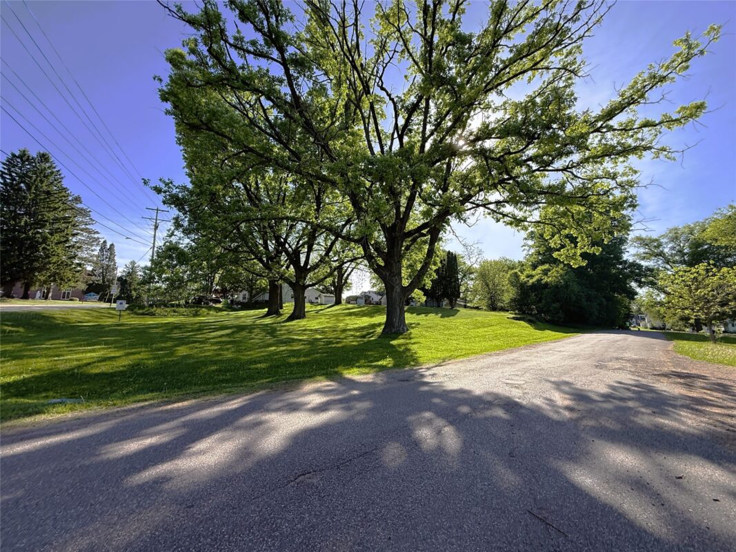 Approx .40 acre lot 20th St., Neillsville WI 54456 - Land house for sale - MLS #1601721 - image2
