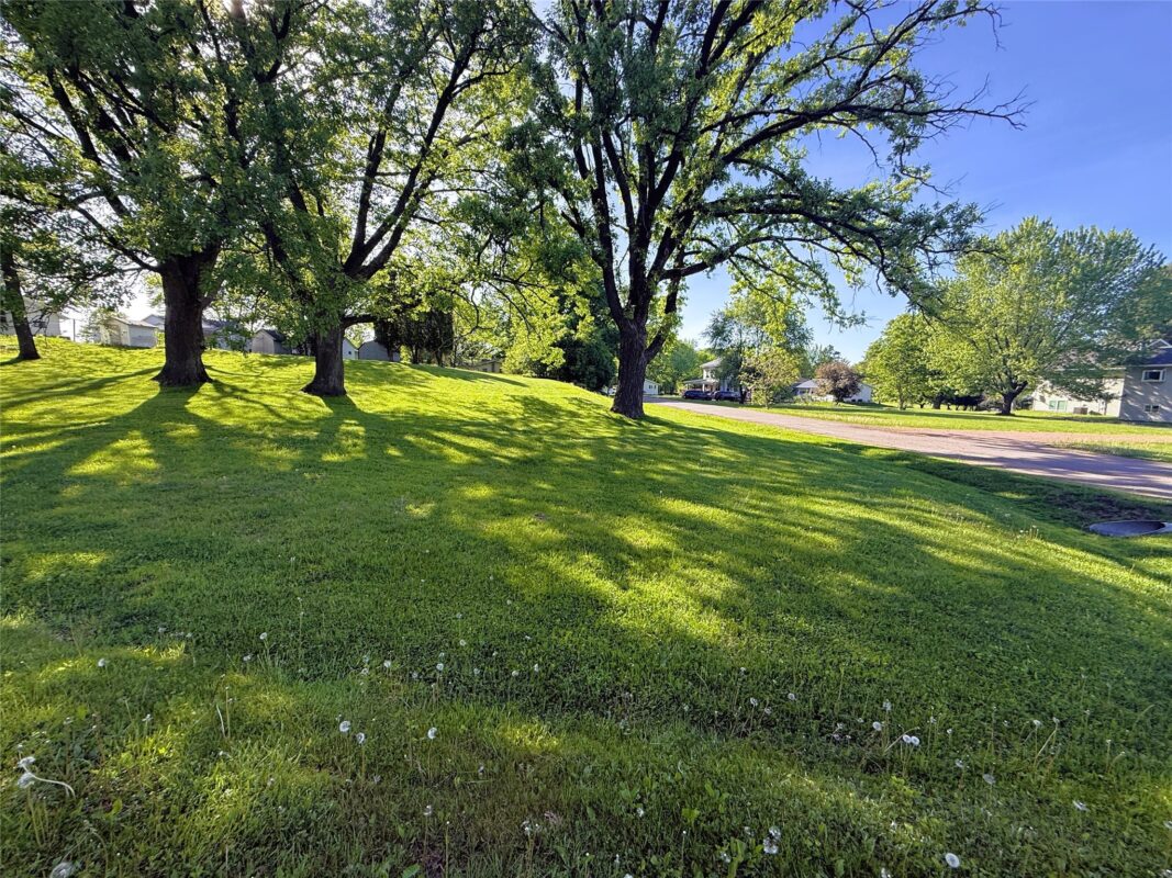 Approx .40 acre lot 20th St., Neillsville WI 54456 - Land house for sale - MLS #1601721 - image3