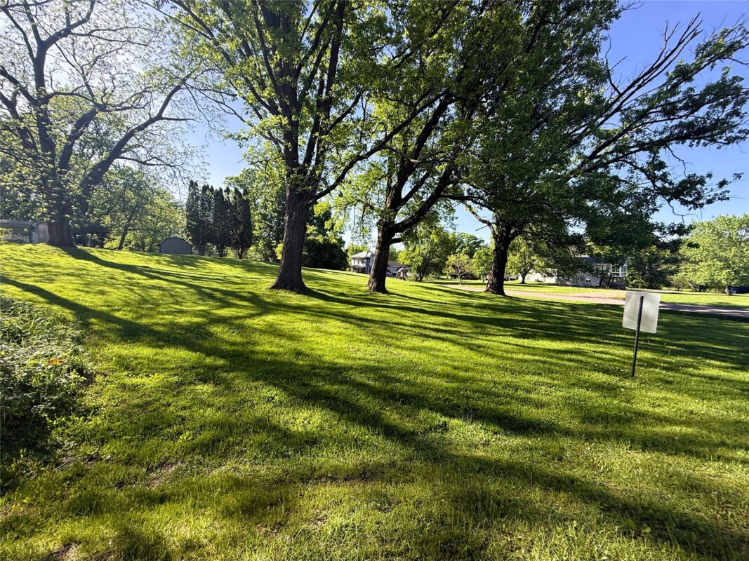 Approx .40 acre lot 20th St., Neillsville WI 54456 - Land house for sale - MLS #1601721 - image4