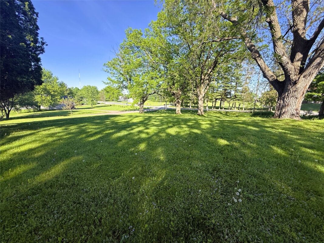 Approx .40 acre lot 20th St., Neillsville WI 54456 - Land house for sale - MLS #1601721 - image9