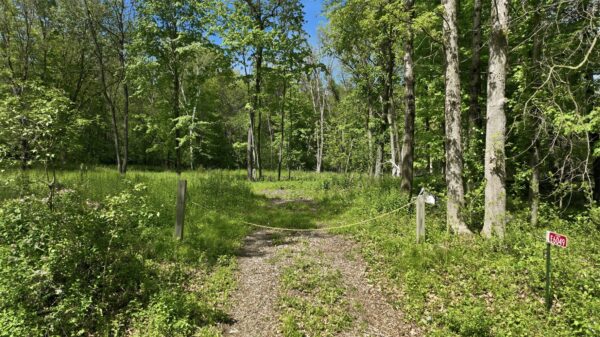 E6049 852nd Avenue Colfax WI 54730
