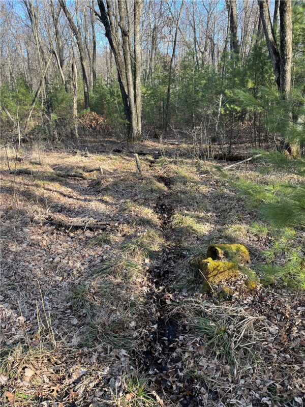 LOT 1 County Road H, Fairchild, WI — photo 23