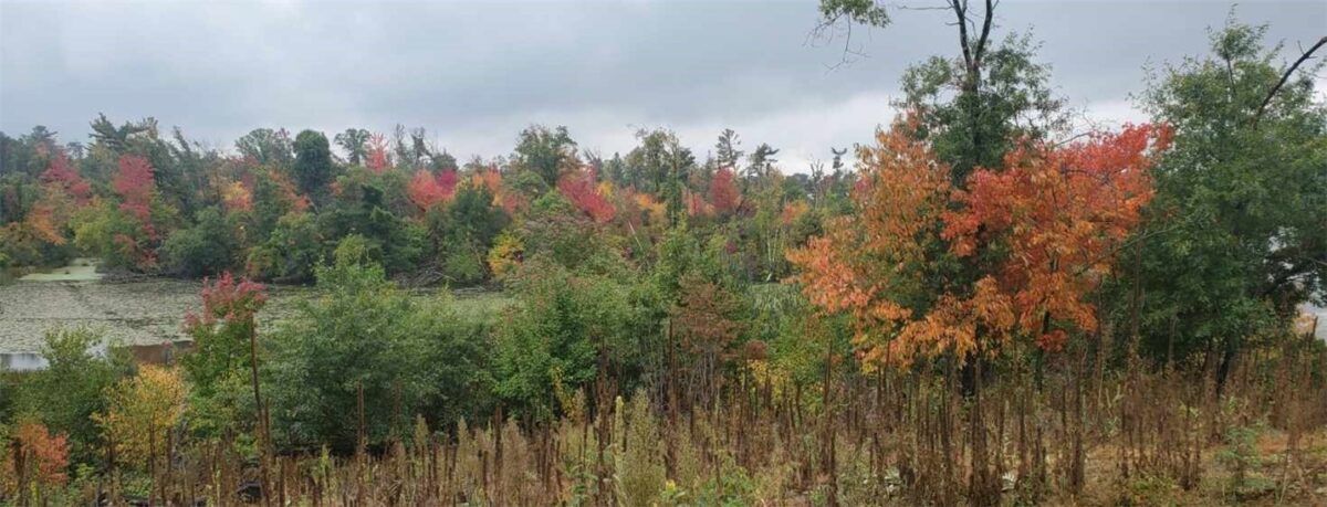 Lot 1 10-7/8 Avenue, Cameron, WI — photo 2