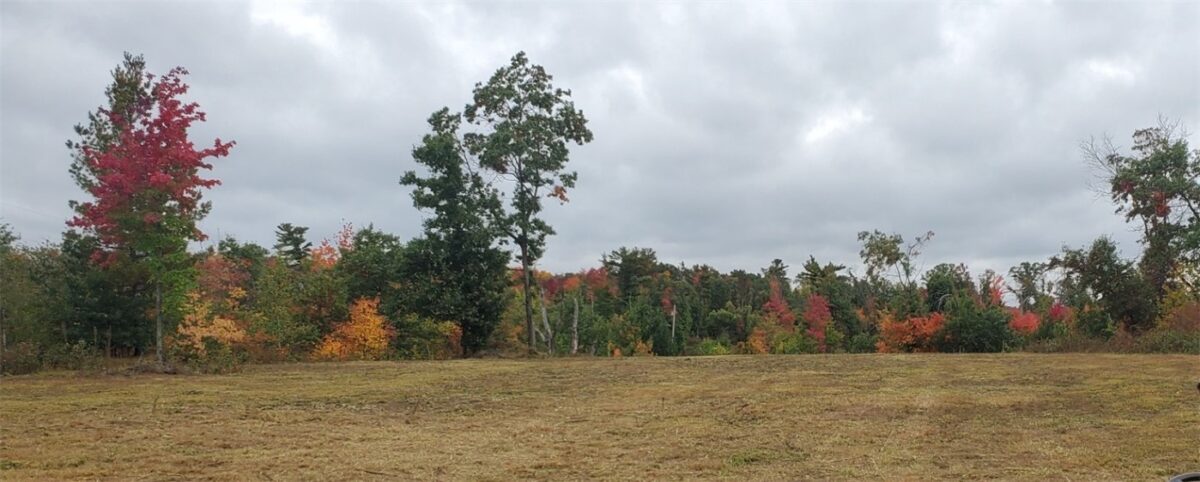 Lot 1 10-7/8 Avenue, Cameron, WI — photo 3