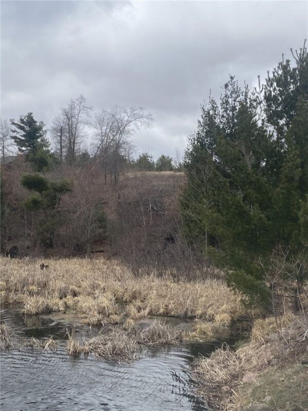 Lot 1 10-7/8 Avenue, Cameron, WI — photo 8