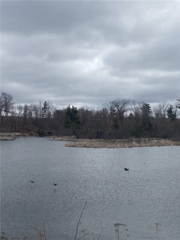 Lot 1 10-7/8 Avenue, Cameron, WI — photo 9