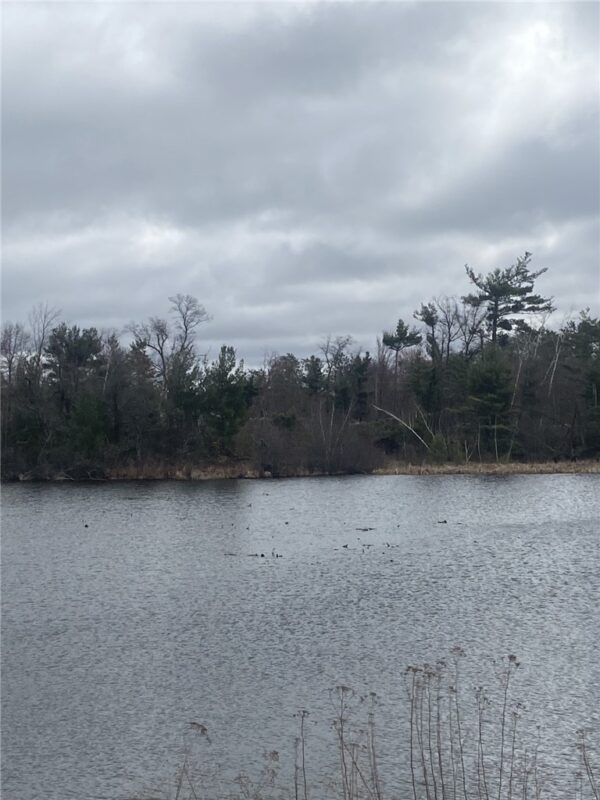 Lot 1 10-7/8 Avenue, Cameron, WI — photo 10